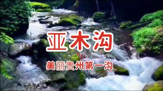1981年，湖北一盲人在深山“称帝”，养55个妃嫔，最小只有10几岁