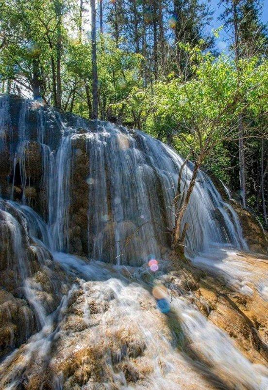 沂水县向阳花助学中心第八届表彰联谊会隆重举行